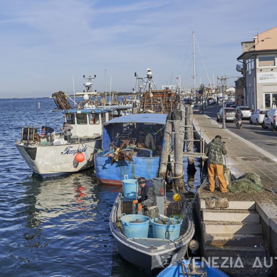 Lido, Pellestrina, and Chioggia: 3 pearls you can not miss - Venetian island - Venezia Autentica | Discover and Support the Authentic Venice - The Venetian islands Lido, Pellestrina and Chioggia are must-visit cities that will challenge what you think you knew about Venice, Italy