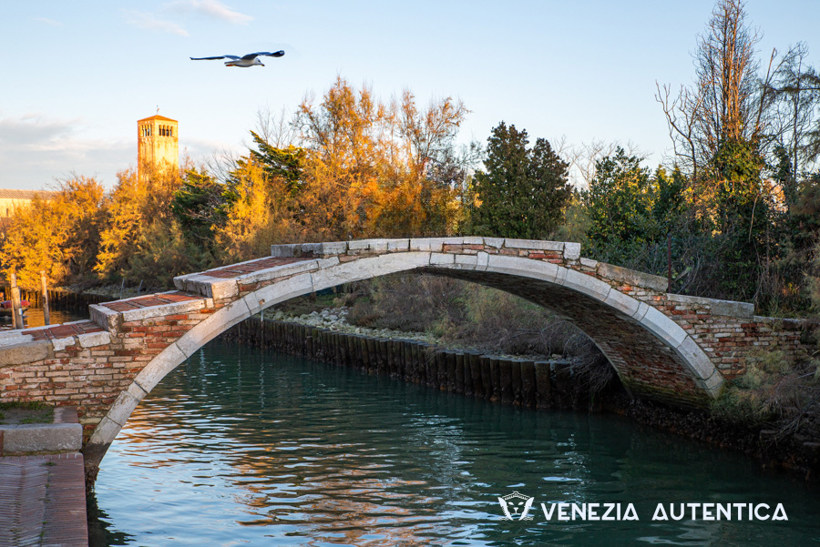 9 things you didn't know about bridges in Venice, Italy - Venezia Autentica | Discover and Support the Authentic Venice - Venice has 391 bridges crossing 150 canals and uniting the 117 islands on which the city was built! Read our article to discover 6 more cool facts!