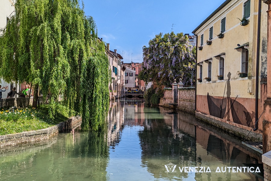 Do you feel Venice is too busy? Treviso is an ideal getaway! - weather in venice - Venezia Autentica | Discover and Support the Authentic Venice -